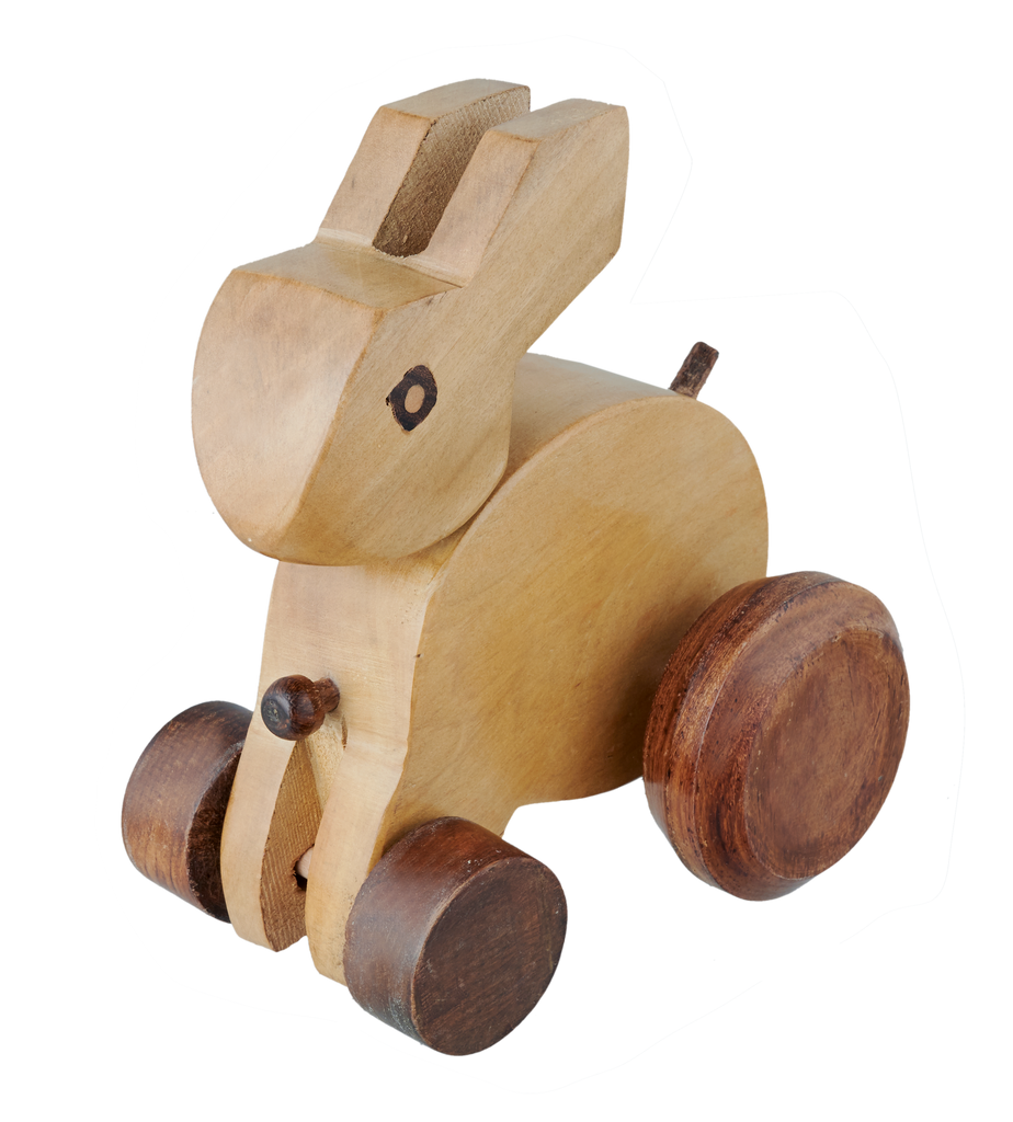 Rabbit On wheel – EduEdge Estore