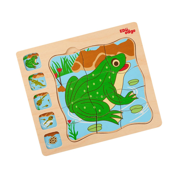 Frog Lifecycle Puzzle