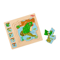 Frog Lifecycle Puzzle