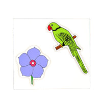 Magnetic Birds And Flowers